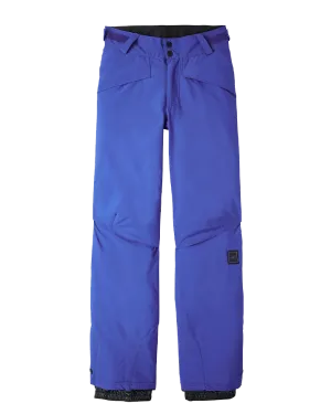 O'Neill Kids' Hammer Pants - Surf The Web Blue