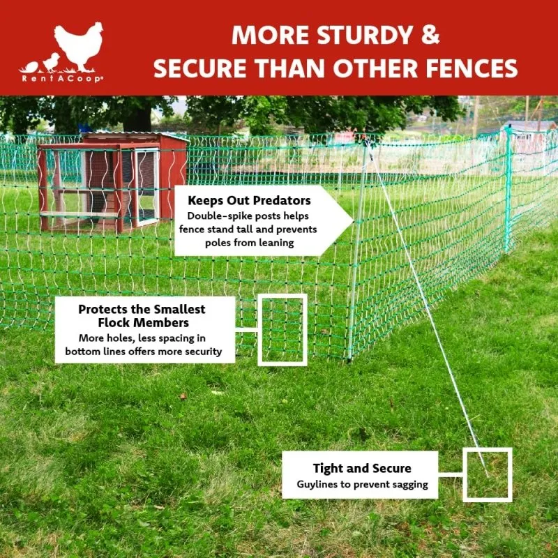 RentACoop Electric Anti-Predator Goat Fence - Suitable for Goats and Larger Animals - Energizer Not Included - 168" L x 42" H