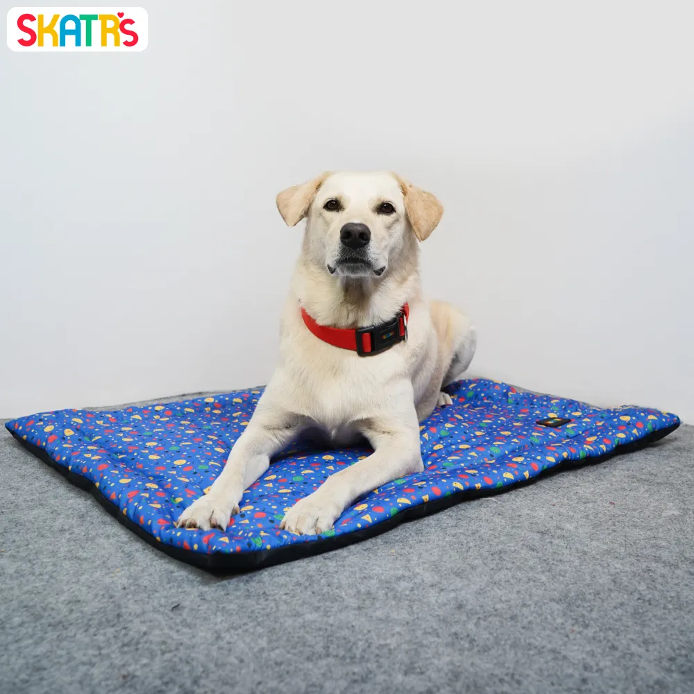 Skatrs Stellar Vibrant Space Mat for Dogs & Cats